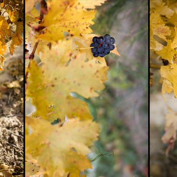 Photography titled "AUTUMN TRIPTYCH 002…" by Gabriel Caneda, Original Artwork, Digital Photography Mounted on Aluminium