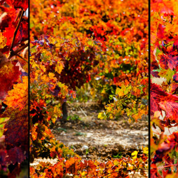 Photography titled "AUTUMN TRIPTYCH 004…" by Gabriel Caneda, Original Artwork, Digital Photography Mounted on Aluminium