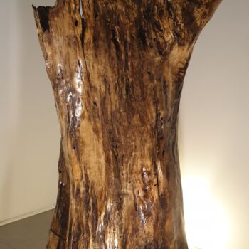 Sculpture titled "Tronc creux" by Gaël Maryn, Original Artwork, Wood
