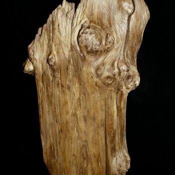 Sculpture titled "Démasqué" by Gaël Maryn, Original Artwork, Wood