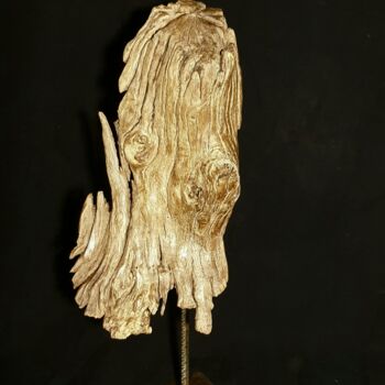 Sculpture intitulée "Tête de poulpe" par Gaël Maryn, Œuvre d'art originale, Bois