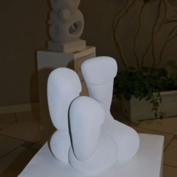 Escultura intitulada "Shape" por Didier Gailhard, Obras de arte originais