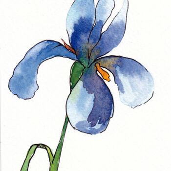 Painting titled "iris1" by Galerie Kawak, Original Artwork, Watercolor