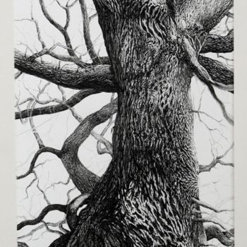 Dessin intitulée "Chêne colonne 2" par Jean Kerinvel, Œuvre d'art originale, Autre