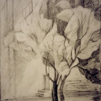 图画 标题为“Три дерева под окном” 由Galina Gonharova, 原创艺术品, 铅笔