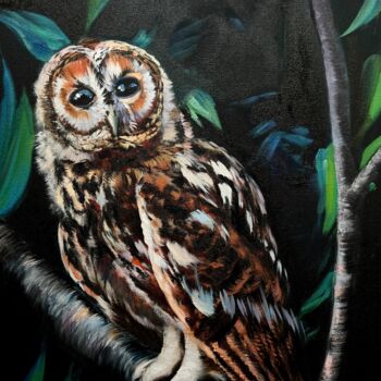 "Owl nocturnal" başlıklı Tablo Ольга Базанова tarafından, Orijinal sanat, Petrol