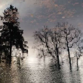 Fotografía titulada "reflet d'eau 1" por D'Âme Forêt, Obra de arte original, Fotografía no manipulada