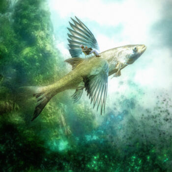 Digitale Kunst mit dem Titel "Fliegender Fisch" von Garrulus Glandarius, Original-Kunstwerk, Digitale Malerei