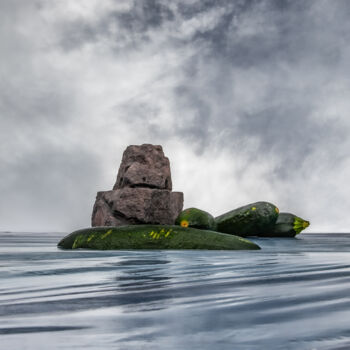 Fotografia intitolato "zucchini island 1" da Gaspard De Gouges, Opera d'arte originale, Fotografia digitale