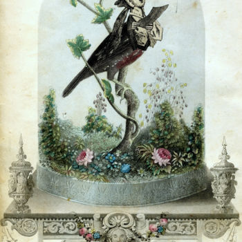 Digital Arts titled "Bel oiseau" by Solange Gautier, Original Artwork, Collages