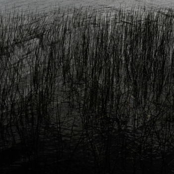 摄影 标题为“"Bord de lac"” 由Christophe Jeanjean, 原创艺术品, 数码摄影