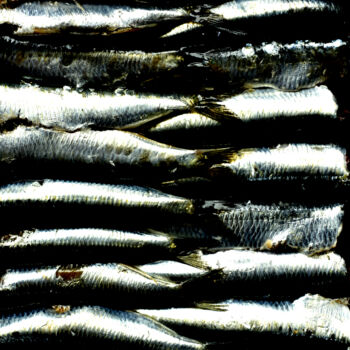 Photographie intitulée "Sardines" par Christophe Jeanjean, Œuvre d'art originale, Photographie numérique