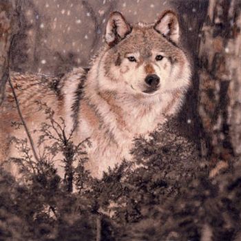 Digital Arts titled "Timber wolf" by Sharon L Hill, Original Artwork