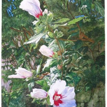 Pintura intitulada "Hibiscus dans la lu…" por Gerard Belaud, Obras de arte originais, Aquarela