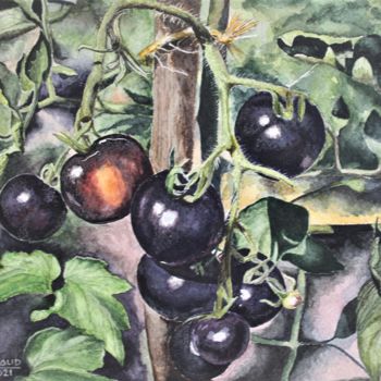 Ζωγραφική με τίτλο "Les tomates noires" από Gérard Nicaud, Αυθεντικά έργα τέχνης, Ακουαρέλα