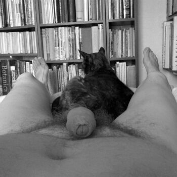 Male Nude With Cat