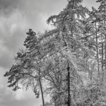 Photography titled "Wintereinbruch Nr.6" by Gegenwind, Original Artwork, Digital Photography