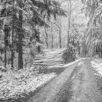 Fotografie getiteld "Wintereinbruch Nr.9" door Gegenwind, Origineel Kunstwerk, Digitale fotografie