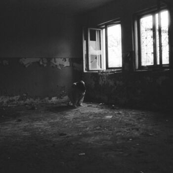 Fotografia intitolato "Solitude" da Gelu Stanculescu, Opera d'arte originale, fotografia a pellicola