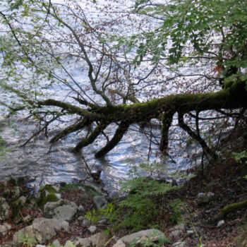 Photography titled "Encore une étrange…" by Geneviève Baud Caizergues, Original Artwork