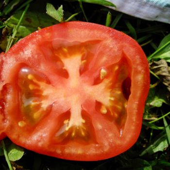 Photographie intitulée "Tomate Occitane" par Geneviève Baud Caizergues, Œuvre d'art originale