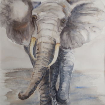 Schilderij getiteld "L'éléphant d'Afriqu…" door Genevieve Fraysse, Origineel Kunstwerk, Aquarel