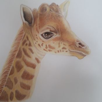 Drawing titled "Girafon" by Geneviève Galliano, Original Artwork, Pencil