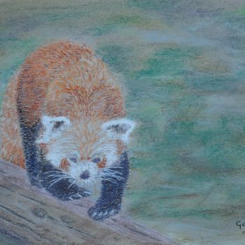 Drawing titled "Panda roux" by Geoffroy Jooris, Original Artwork, Pastel