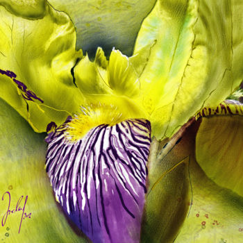 Digital Arts titled "blooming" by Georg Ireland, Original Artwork, Digital Painting