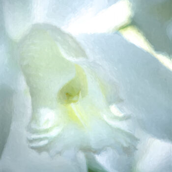 「Cattleya Orchid #3」というタイトルの写真撮影 George Robinsonによって, オリジナルのアートワーク, デジタル