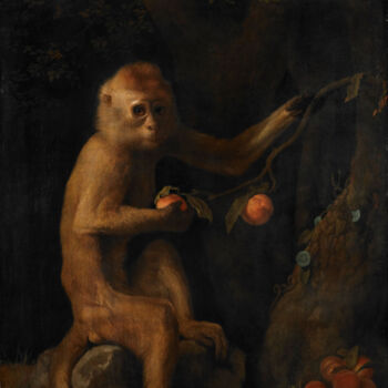 Картина под названием "Un singe" - George Stubbs, Подлинное произведение искусства, Масло