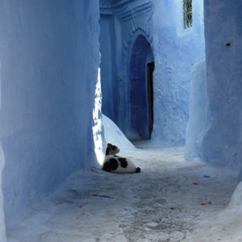 Photography titled "Chat Maroc" by George Bacque, Original Artwork