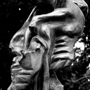 Sculpture intitulée "Territory fight (fr…" par Georges Duhamel, Œuvre d'art originale