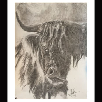 Tekening getiteld "vache ecossaise" door Georges Godé, Origineel Kunstwerk, Houtskool