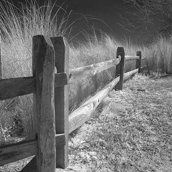 Photography titled "Riverside Fence Pos…" by George Wilson, Original Artwork