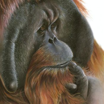 Dibujo titulada "Man of the Jungle" por Geraldine Simmons, Obra de arte original, Lápiz