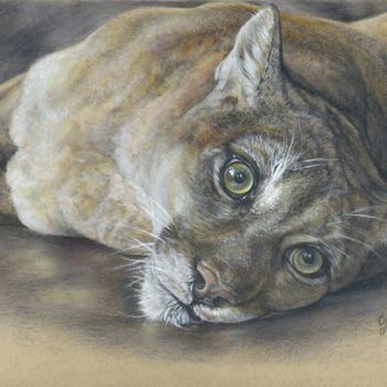 Dibujo titulada "Cougar Eyes" por Geraldine Simmons, Obra de arte original, Lápiz