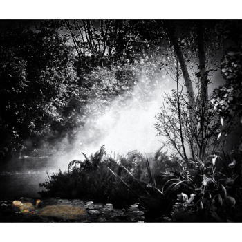 Photography titled "OPHELIA" by Gérard Bertrand, Original Artwork, Manipulated Photography