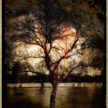 Photographie intitulée "L'ARBRE DU CHAMANE" par Gérard Bertrand, Œuvre d'art originale, Photographie manipulée