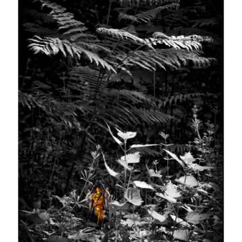 Fotografia zatytułowany „AMAZONES” autorstwa Gérard Bertrand, Oryginalna praca, Manipulowana fotografia