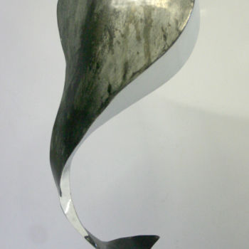 Sculpture titled "delta-p101.jpg" by Gérard Braguy, Original Artwork, Metals