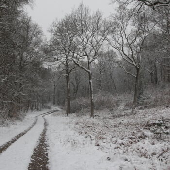 Photography titled "Forêt enneigée" by Gérard Capron (G.CAPRON), Original Artwork, Digital Photography Mounted on Aluminium