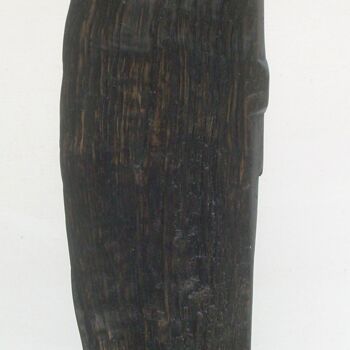 雕塑 标题为“Duo 20 03” 由Gérard Cottereau, 原创艺术品, 木