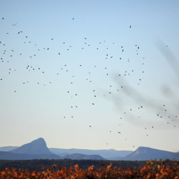 Fotografia intitolato "pic saint loup" da Gerard Jeanjean, Opera d'arte originale