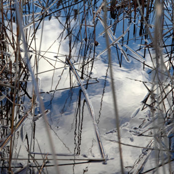 Photographie intitulée "Eaux dormantes" par Gerard Jeanjean, Œuvre d'art originale