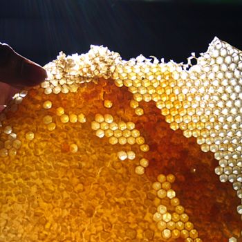 Photographie intitulée "miel en brèche" par Gerard Jeanjean, Œuvre d'art originale