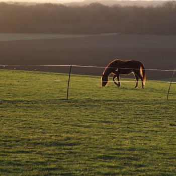 Fotografie getiteld "le petit cheval" door Gerard Jeanjean, Origineel Kunstwerk