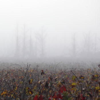 Fotografia intitolato "lever de brume" da Gerard Jeanjean, Opera d'arte originale