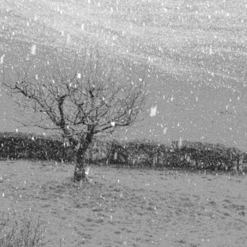 "....tu ne viendras…" başlıklı Fotoğraf Gerard Jeanjean tarafından, Orijinal sanat