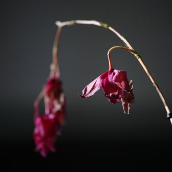 Photographie intitulée "être et avoir été" par Gerard Jeanjean, Œuvre d'art originale